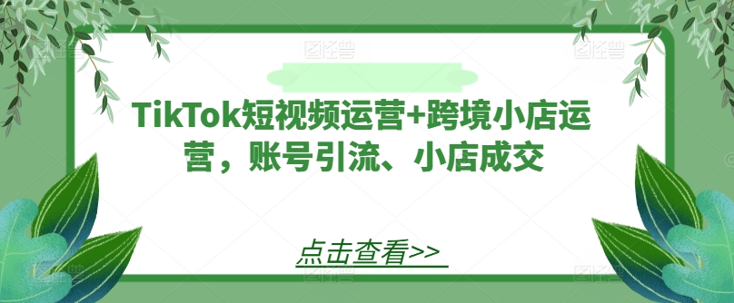 TikTok短视频运营+跨境小店运营，账号引流、小店成交-聊项目