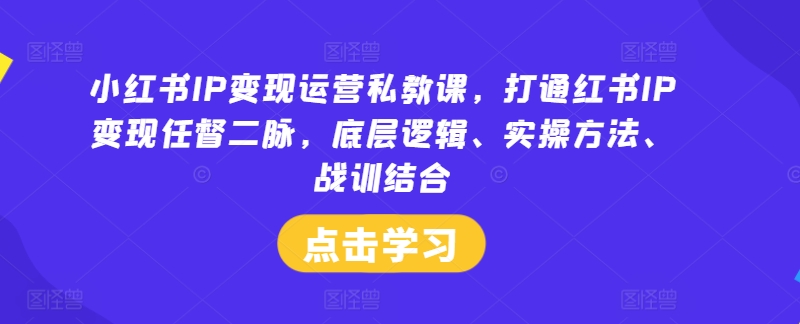 小红书IP变现运营私教课，打通红书IP变现任督二脉，底层逻辑、实操方法、战训结合-聊项目