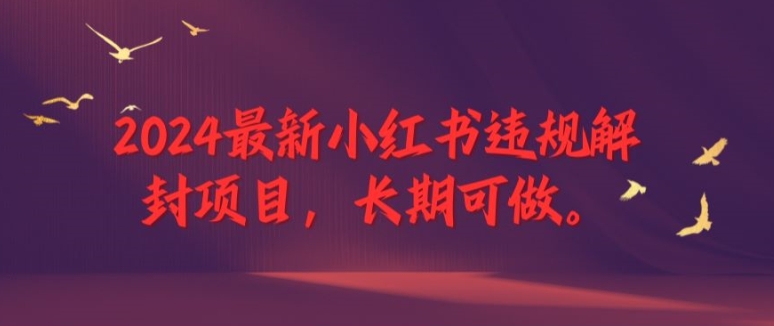 2024最新小红书违规解封项目，长期可做，一个可以做到退休的项目-聊项目