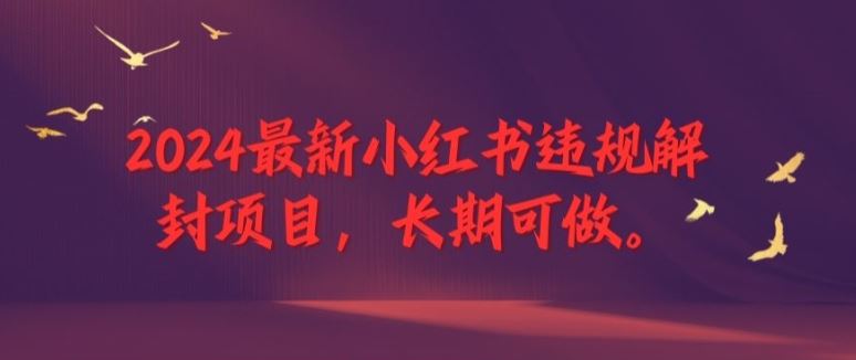 2024最新小红书违规解封项目，长期可做，一个可以做到退休的项目【揭秘】-聊项目