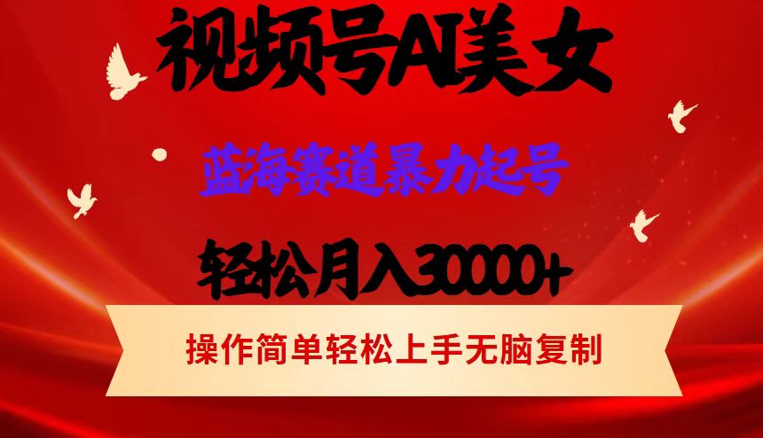 （12178期）视频号AI美女跳舞，轻松月入30000+，蓝海赛道，流量池巨大，起号猛，当…-聊项目