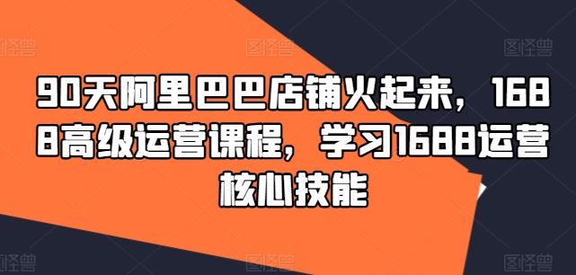 90天阿里巴巴店铺火起来，1688高级运营课程，学习1688运营核心技能-聊项目