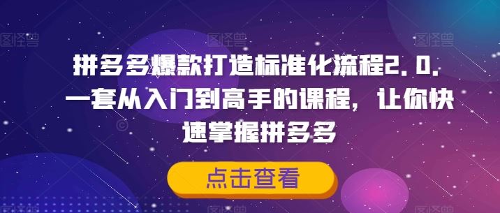 拼多多爆款打造标准化流程2.0，一套从入门到高手的课程，让你快速掌握拼多多-聊项目