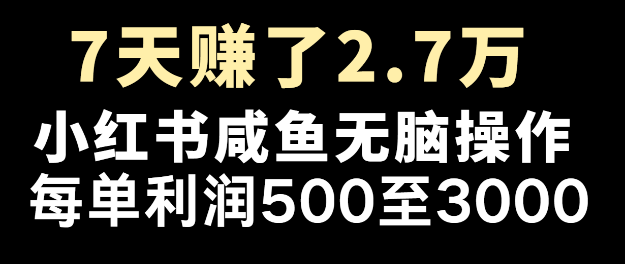 七天赚了2.7万！每单利润最少500+，轻松月入5万+小白有手就行-聊项目