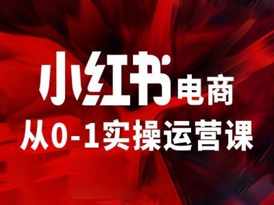 小红书电商从0-1实操运营课，让你从小白到精英-聊项目