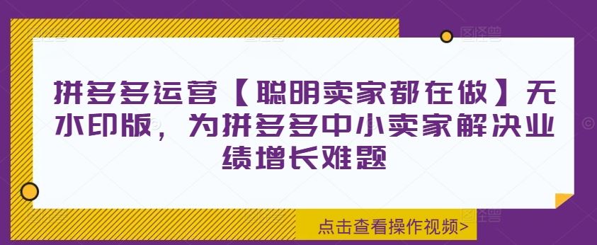 拼多多运营【聪明卖家都在做】无水印版，为拼多多中小卖家解决业绩增长难题-聊项目