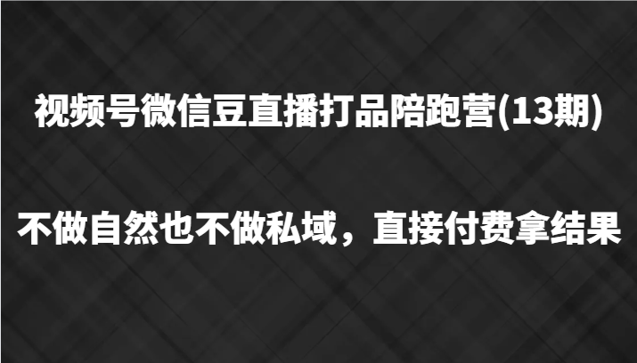 视频号微信豆直播打品陪跑(13期)，不做不自然流不做私域，直接付费拿结果-聊项目