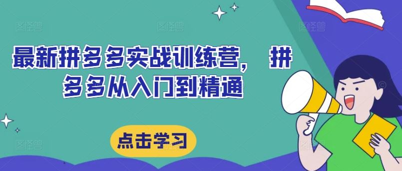 最新拼多多实战训练营， 拼多多从入门到精通-聊项目