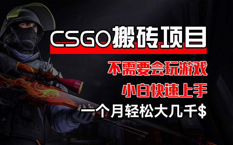 （12332期）CSGO 装备搬砖项目，操作简单，不需要会玩游戏，小白也能快速上手，一…-聊项目