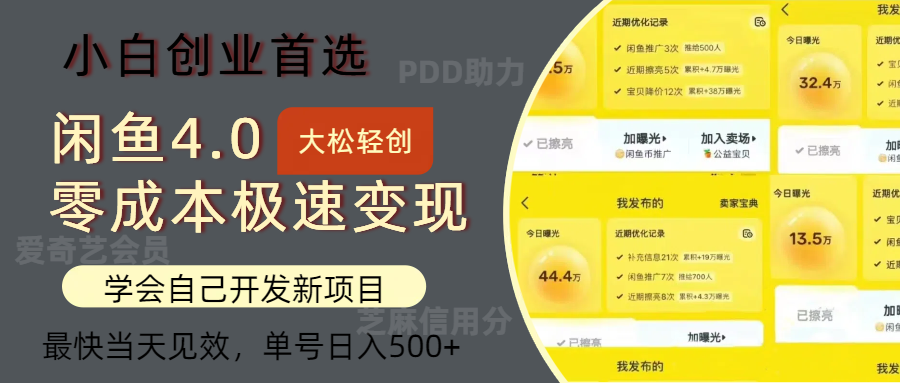 （12434期）闲鱼0成本极速变现项目，多种变现方式 单号日入500+最新玩法-聊项目