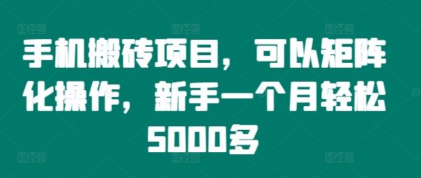 手机搬砖项目，可以矩阵化操作，新手一个月轻松5000多-聊项目