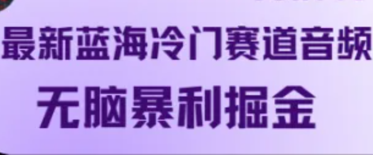 最新蓝海冷门赛道音频，无脑暴利掘金-聊项目