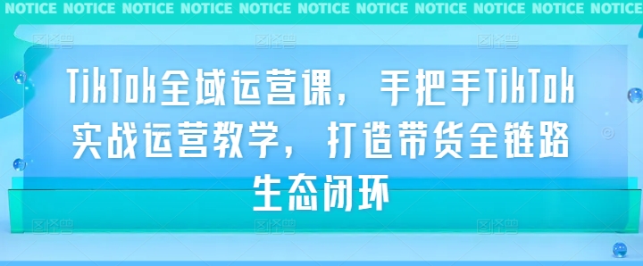 TikTok全域运营课，手把手TikTok实战运营教学，打造带货全链路生态闭环-聊项目