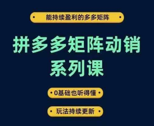 拼多多矩阵动销系列课，能持续盈利的多多矩阵，0基础也听得懂，玩法持续更新-聊项目