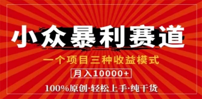 视频号最新爆火赛道，三种可收益模式，0粉新号条条原创条条热门 日入1000+-聊项目