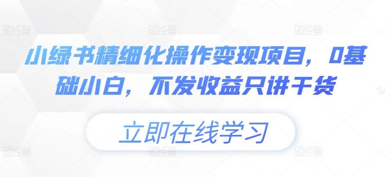 小绿书精细化操作变现项目，0基础小白，不发收益只讲干货-聊项目