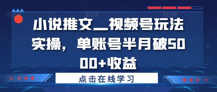 小说推文—视频号玩法实操，单账号半月破5000+收益-聊项目