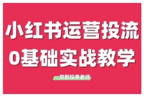 小红书运营投流，小红书广告投放从0到1的实战课，学完即可开始投放-聊项目