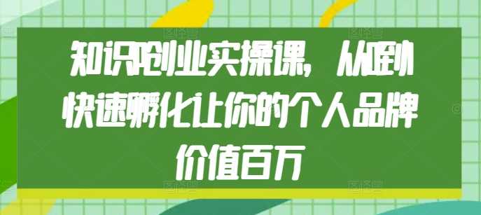 知识IP创业实操课，从0到1快速孵化让你的个人品牌价值百万-聊项目