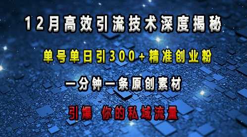 最新高效引流技术深度揭秘 ，单号单日引300+精准创业粉，一分钟一条原创素材，引爆你的私域流量-聊项目