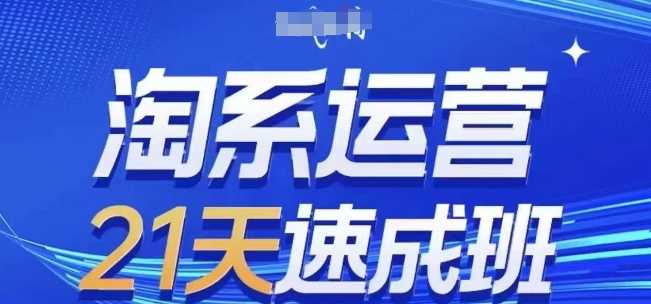 淘系运营21天速成班(更新24年12月)，0基础轻松搞定淘系运营，不做假把式-聊项目