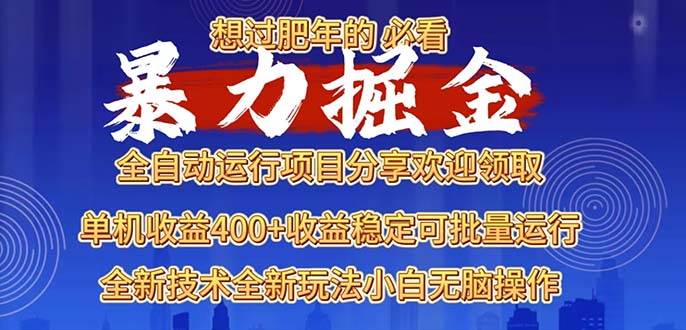 （13675期）2025暴力掘金项目，想过肥年必看！-聊项目