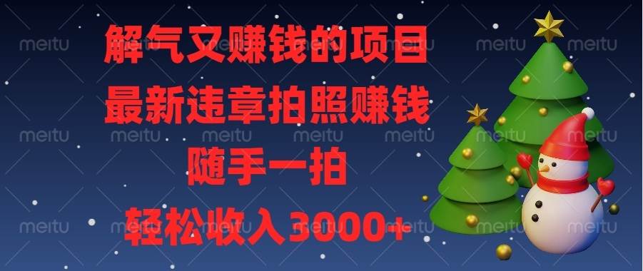 （13686期）解气又赚钱的项目，最新违章拍照赚钱，随手一拍，轻松收入3000+-聊项目