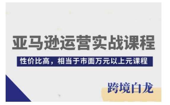 亚马逊运营实战课程，亚马逊从入门到精通，性价比高，相当于市面万元以上元课程-聊项目