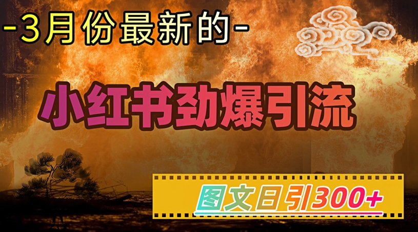 小红书超劲爆引流手段，图文日引300+轻松变现1W-聊项目