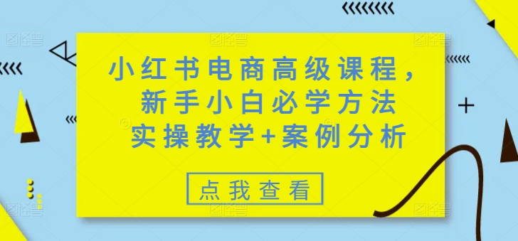 小红书电商高级课程，新手小白必学方法，实操教学+案例分析-聊项目