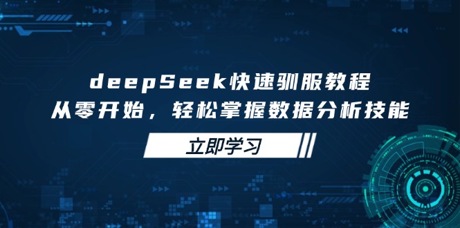 deepSeek快速驯服教程，从零开始，轻松掌握数据分析技能-聊项目