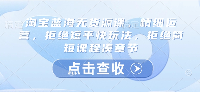 淘宝蓝海无货源课，精细运营，拒绝短平快玩法，拒绝简短课程凑章节-聊项目