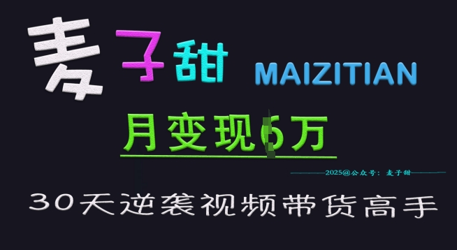 麦子甜30天逆袭视频带货高手，单月变现6W加特训营-聊项目