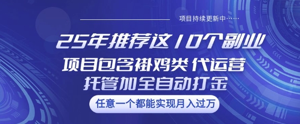 25年推荐这10个副业项目包含褂鸡类、代运营托管类、全自动打金类【揭秘】-聊项目