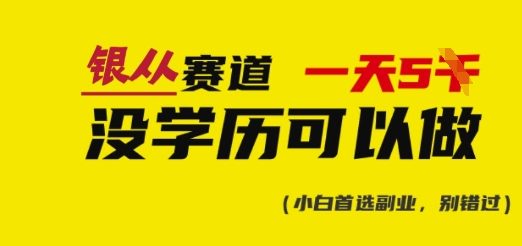 靠银从证书，日入多张，会截图就能做，直接抄答案(附：银从合集)-聊项目