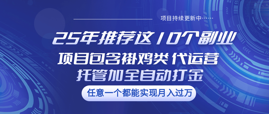 25年推荐这10个副业 项目包含褂鸡类、代运营托管类、全自动打金类-聊项目