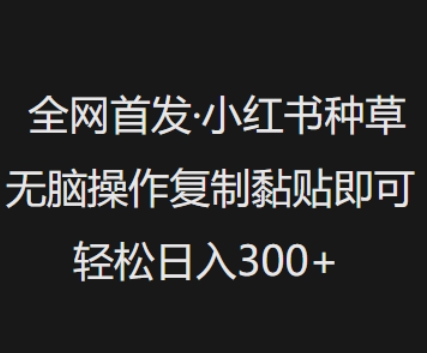 全网首发，小红书种草无脑操作，复制黏贴即可，轻松日入3张-聊项目