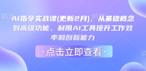 AI指令实战课(更新2月)，从基础概念到高级功能，利用AI工具提升工作效率和创新能力-聊项目