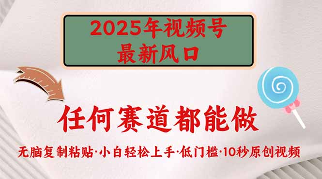 2025年视频号新风口，低门槛只需要无脑执行-聊项目