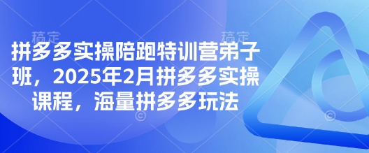 拼多多实操陪跑特训营弟子班，2025年2月拼多多实操课程，海量拼多多玩法-聊项目