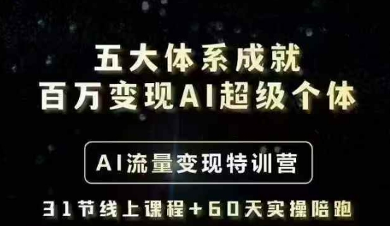 五大体系成就百万变现AI超级个体- AI流量变现特训营，一步一步教你一个人怎么年入百W-聊项目