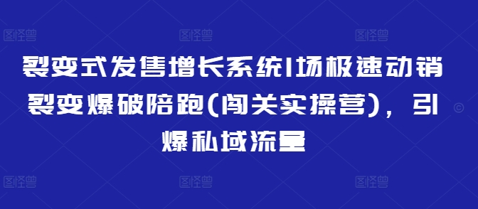 裂变式发售增长系统1场极速动销裂变爆破陪跑(闯关实操营)，引爆私域流量-聊项目