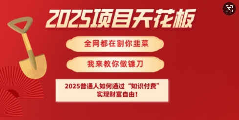 2025项目天花板普通人如何通过知识付费，实现财F自由【揭秘】-聊项目